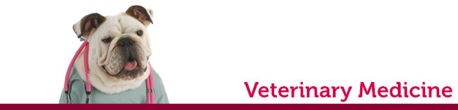 Veterinary -Medicine 01