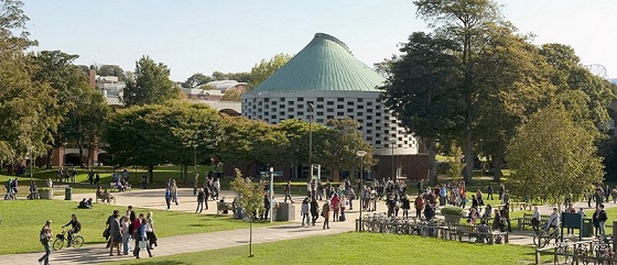 University of Sussex